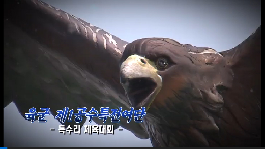 독수리체육대회